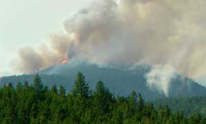 Fire coming over the crest