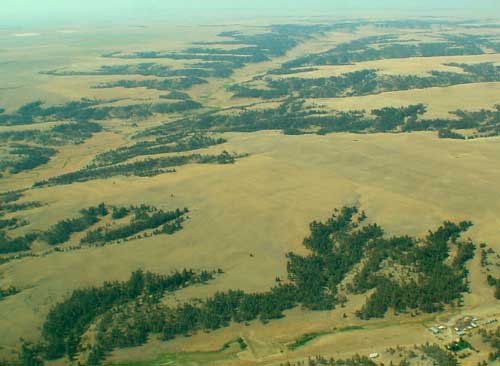 Prairie between Great Falls and Billings