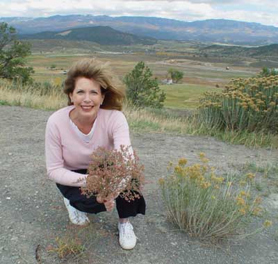Joan picking fall flowers