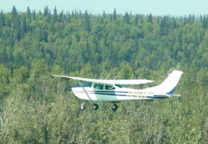 N91508 checking tree growth