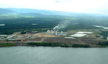 Wood Processing Plant