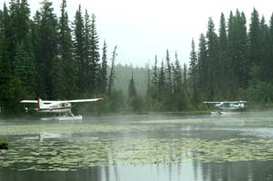Morning Mist at Ten-ee-ah
