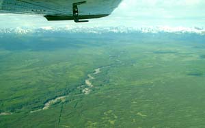 Canadian Rocky Mt. with Muskwa River