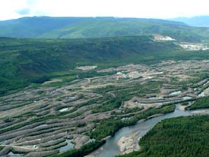 A valley left with the mark of the Gold-Rush